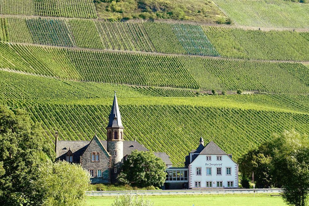Moselle wine - Bernkastel