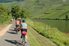 Moselle with the MS Olympia - Moselle Cycle Path